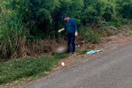 Atropellan y matan a mujer en carretera Cazones-Poza Rica