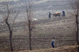 La hambruna que se cierne sobre Corea del Norte
